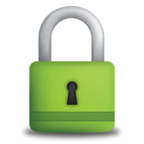 High security lock High security lock