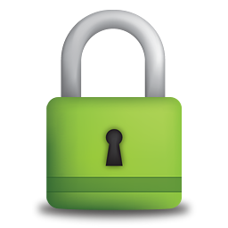 High security lock